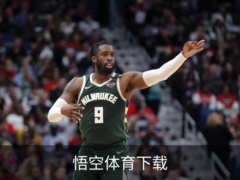 悟空体育下载概况